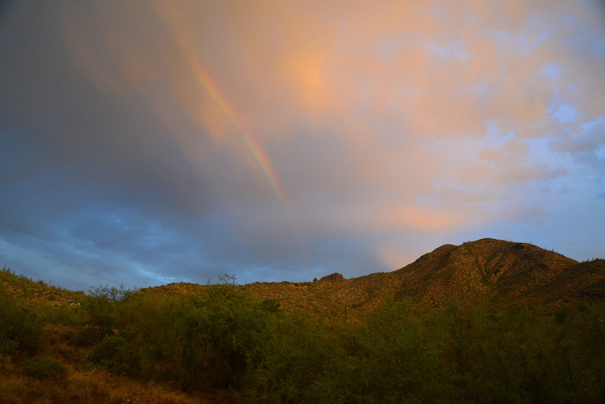 Trip To Blog tweet media