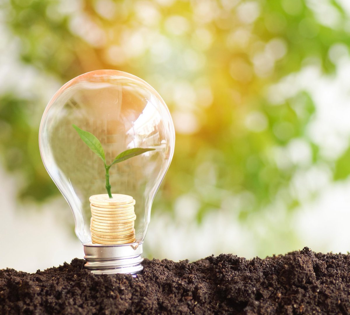 Growth Fintech tweet media