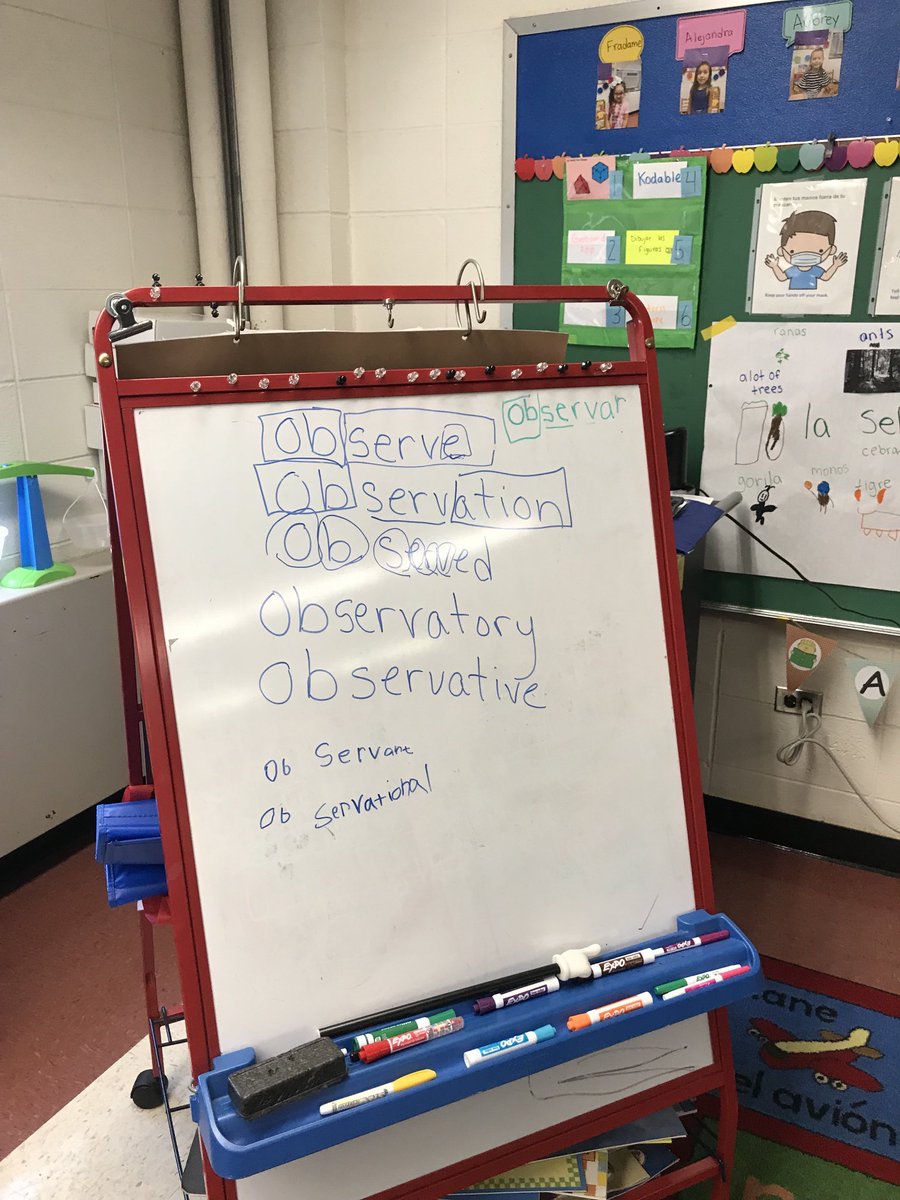 Julia Nelson tweet media