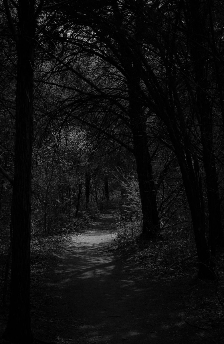 My moody trail from hiking this past weekend.. #moody #adventure #exploretexas #nftcommunity #nfts #blackandwhitephoto #photography #nature