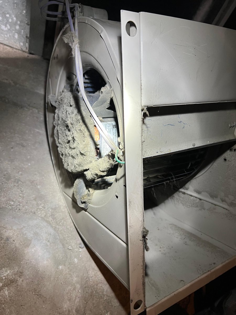 albertacleaning's tweet photo. After a winter of keeping you warm, don't you think your blower needs a spa day? Take a look at this blower - before &amp; after a cleaning with our Furnace Technicians. Much better! 

#furancecleaning #springcleaning #edmonton #edmonton #stalbert #sherwoodpark #beforeandafter #dusty https://t.co/LBMsPgUadb