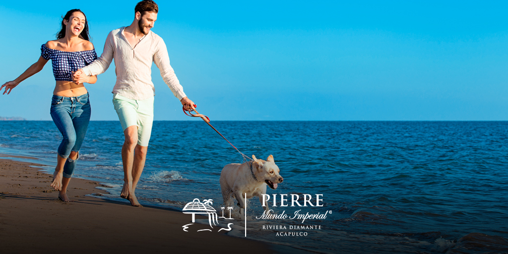 ¡Planea tus vacaciones con tu mejor amigo de cuatro patas! 🐶
#ViveLaExperiencia #MIHotelPierre #RivieraDiamanteAcapulco