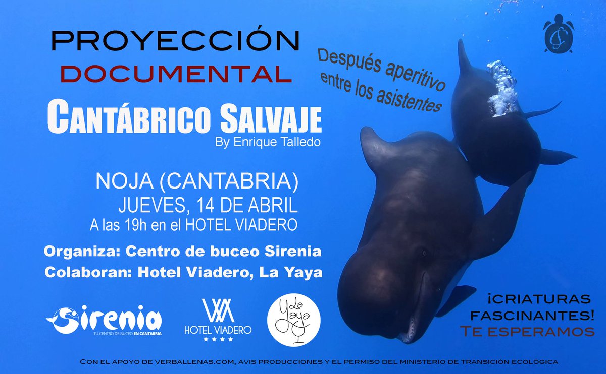 Kike_Talledo's tweet photo. CANTÁBRICO SALVAJE
Jueves Santo, 14 de abril a las 19h en la localidad cántabra de Noja tienes la oportunidad de conocer un poquito mejor la fascinante biodiversidad.
Organiza: Centro de Buceo Sirenia
Lugar: en el Hotel Viadero 
Colabora: Restaurante La Yaya

¡Nos vemos!😉 https://t.co/FsiVRPg5E1