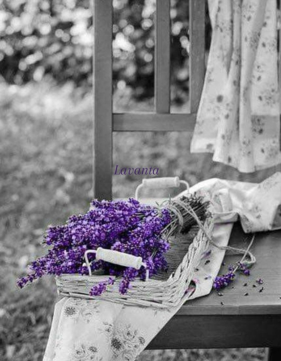 Kıymet;
Kim ne biliyorsa o kadar değil midir.

ℓą𝜈ąŋŧą.