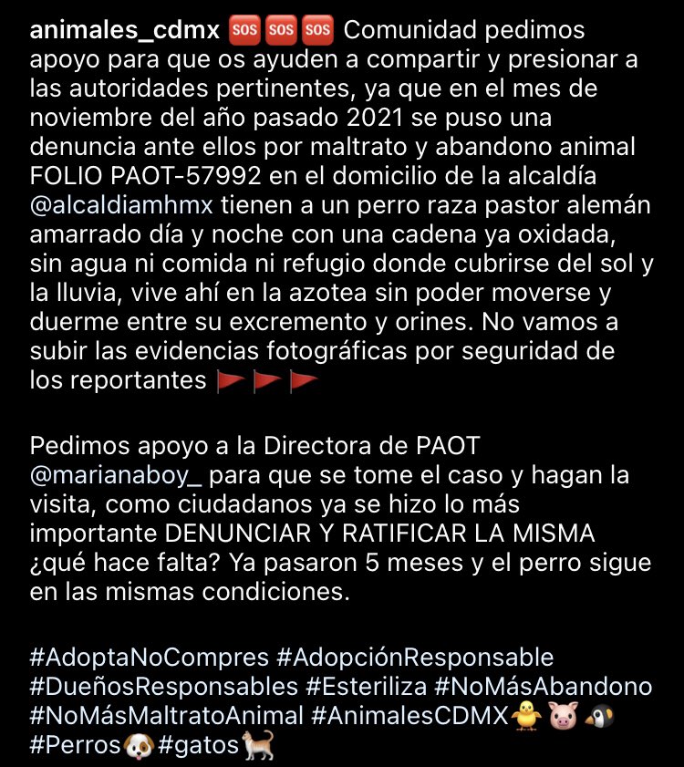 Animales_CDMX's tweet photo. Esta denuncia se puso en noviembre del 2021 @PAOTmx ya pasaron 5 meses y no han hecho la visita ni se han comunicado con la denunciante ¿qué hace falta? El perro sigue viviendo en condiciones de maltrato y abandono ¿qué hay que esperar? @mariana_boy por favor pueden tomar el caso https://t.co/bxzHCYHey7