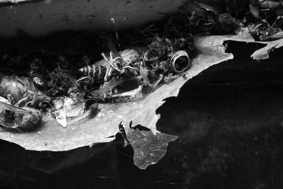 From series "Houm Crime"

2019

#blackandwhitephotography #art #photography #artphotography #contemporaryart #blackandwhite 
#Ukraine️ #artistontwittter #ukraineart #shot #abstractart #NFTphotographers