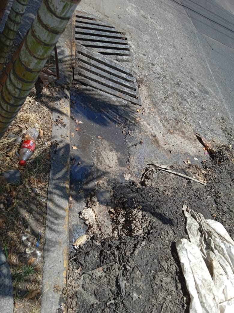 PACOTRONGDL's tweet photo. @ZapopanGob @siapagdl @Trafico_ZMG @VicenteFdzJr #zapopa #ReporteZMG limpiaron la boca de tormenta y no recogieron el residuo huele horrible lleno de moscas entre calle salmón y esturion col residencial Loma Bonita https://t.co/qlGVlZh7gM