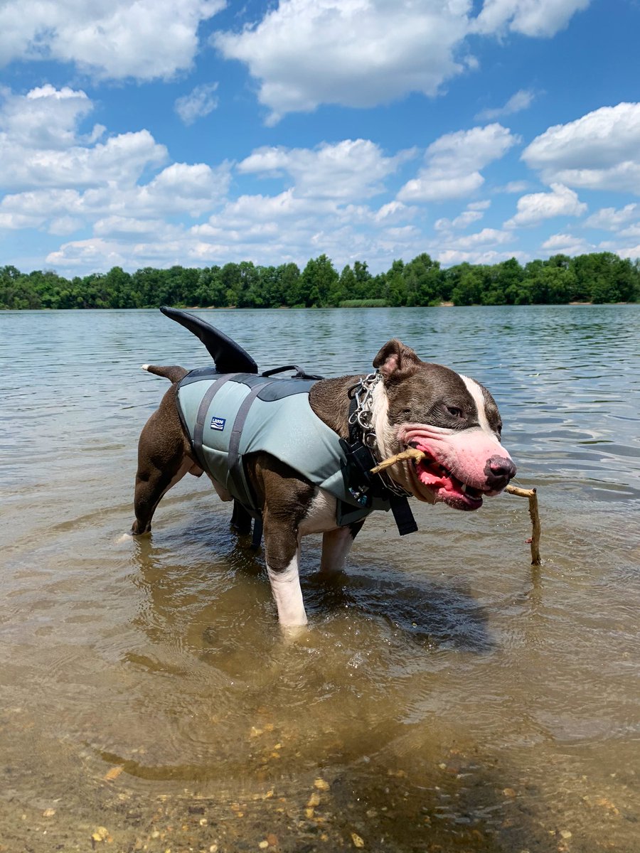 haleygrob3's tweet photo. Almost summer time! Gotta break out the life jacket soon. https://t.co/APUL5o35a1