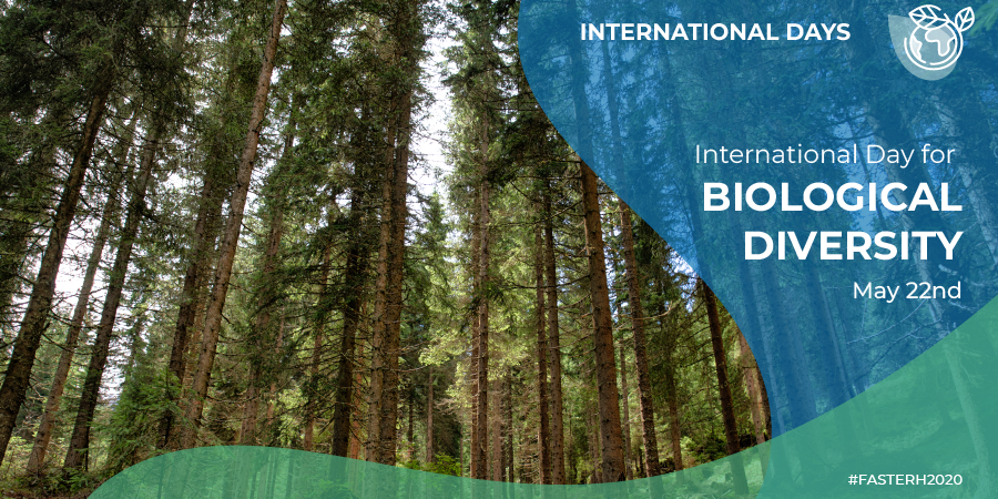 "Building a shared future for all life." 
That's the slogan of 2022's World #BiodiversityDay! 🌿

#Biodiversity is the way we rebuild better, from nature-based solutions to climate, health, and sustainable livelihoods.

#FASTERH2020 #ResearchExcellence #Environment