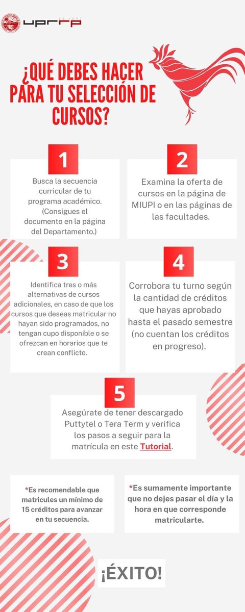 CECN_UPRRP's tweet photo. ¿Qué debes hacer para tu selección de cursos? https://t.co/aM8n5V1Vxl