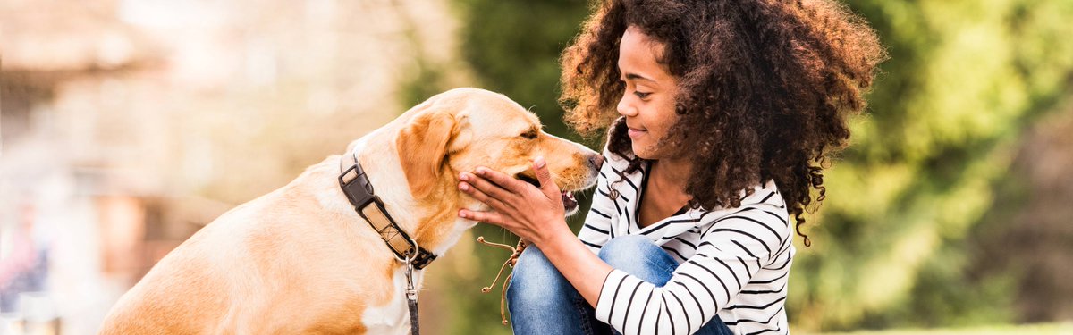 It's #NationalDogBitePrevention week! Did you know more than 4.5 million people are bitten by dogs each year in the U.S.? There are many things you can do at home and within your community to help #PreventDogBites. Here are some tips from @AVMAvets: avma.org/resources-tool…