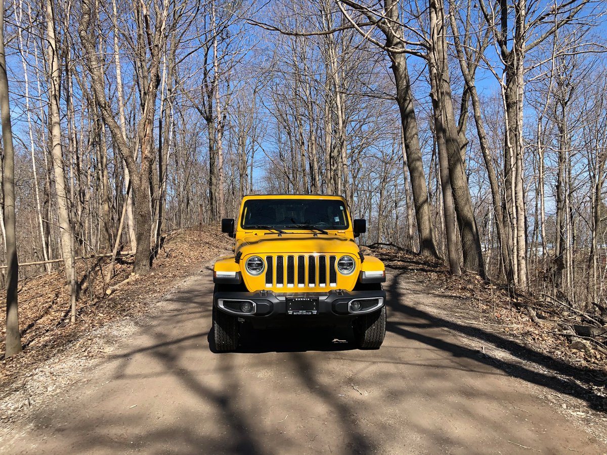 BayviewChrysler's tweet photo. It's Jeep season at Bayview Chrysler! This weeks preowned pick is this 2019 Jeep Wrangler Unlimited Sahara. Recently traded in with only 86,000km this vehicle was routinely serviced here at Bayview and won't last long. Contact our sales staff for details on this great jeep #Jeep https://t.co/Dz5A63lWi0