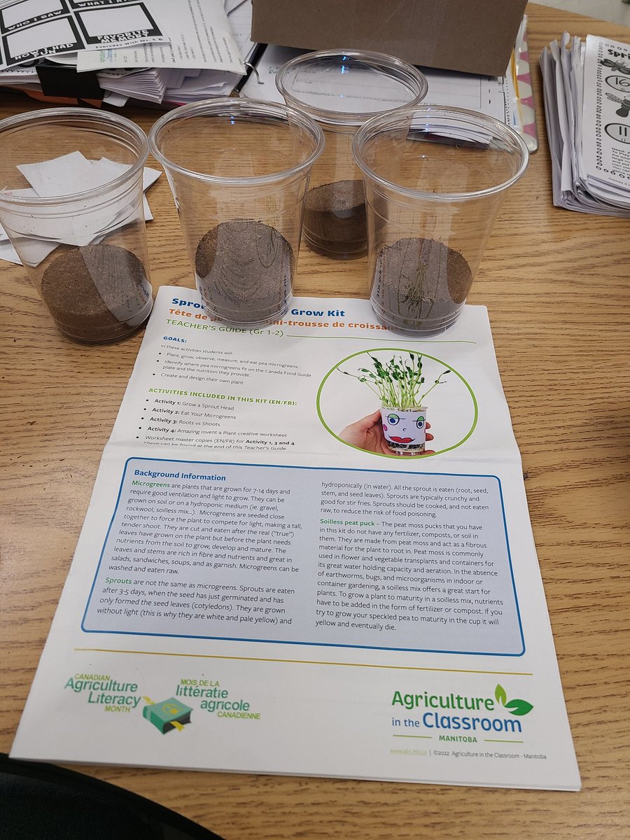 travelandteach8's tweet photo. We planted our pea sprouts and wait patiently to try them in the future! Thank you @aitcmb for the supplies and new book! 🌱🤞#calm22 #agriculture #peasprouts #planting @NESHanover https://t.co/DTzYgNVgdP