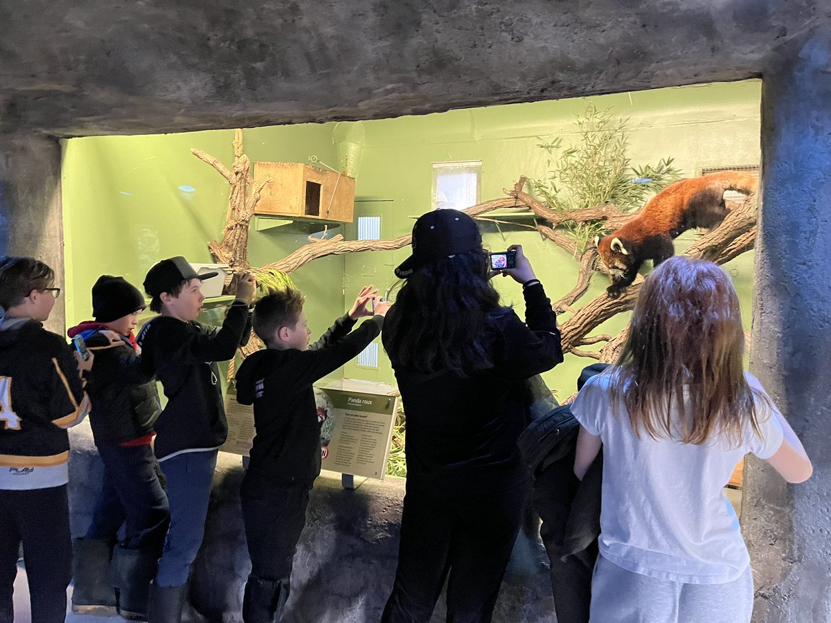 JoshLuna04's tweet photo. Today at @assiniboinezoo we learned about nature photography! #7oaks #inquiry https://t.co/f3V4rxuXdK