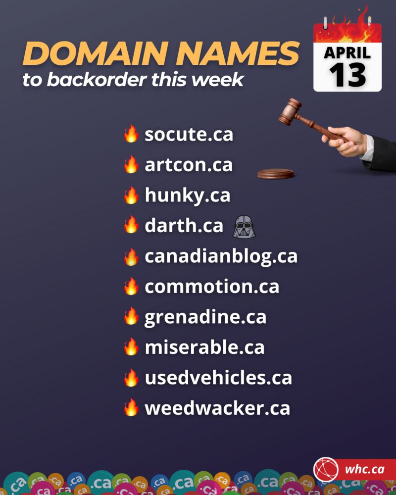 WebHostCanada's tweet photo. One of these 🔥 #domains got your attention? Check out the full list here: https://t.co/qPU5EN6oe5
🕑 If you find a gem of a #domainname, make sure to place your bids before this Wednesday 2:45 PM ET
It's THAT simple #socute #darth #canadianblog #artcon https://t.co/kVaHhgz3p7