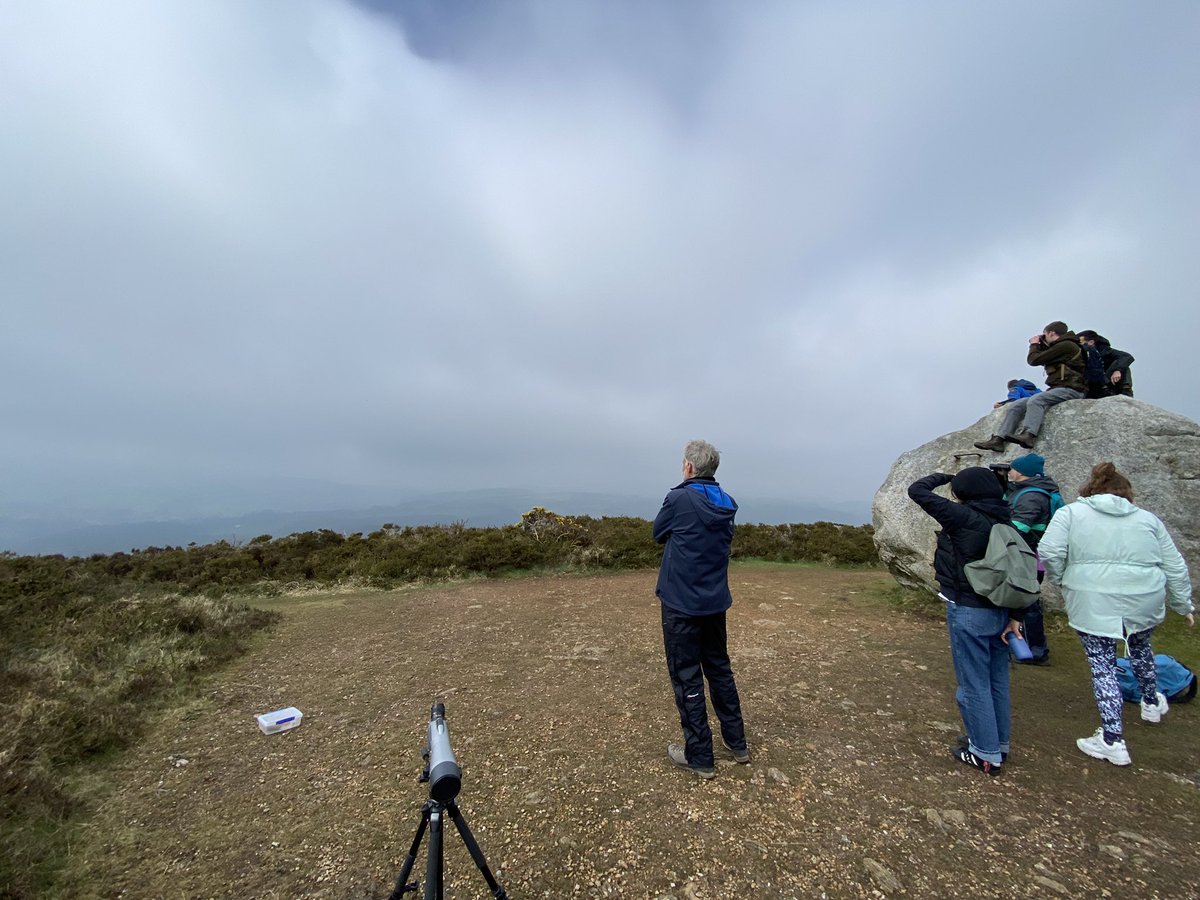 eagle_trust's tweet photo. @eagle_trust out with @TCD_NatSci Biodiversity &amp; Conservation MSc students today in #Wicklow looking for #redkites and learning about #fieldskills #ecology #monitoring @RedKitesIreland #mottestone #nextgenerationlearning #reintroduction https://t.co/9c8z4SJThT