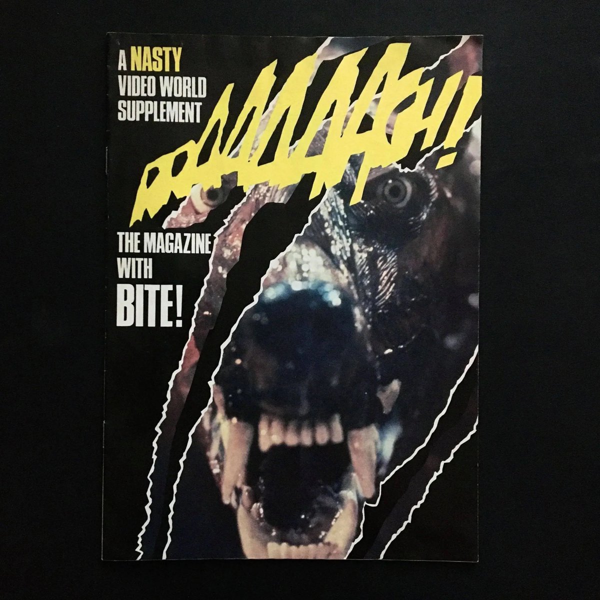Alldatalostbook's tweet photo. Video World Nasty special supplement from 1985, interviews with Sam Raimi &amp;Dario Argento, a list of the current banned tapes etc, Zoltan Hound of Dracula on the cover FTW
https://t.co/qbjVRNfipt

#alldatalostbooks #precert #vhs  #vhshorror #videonasty #videonasties #horrormovies https://t.co/URALSsgFQb