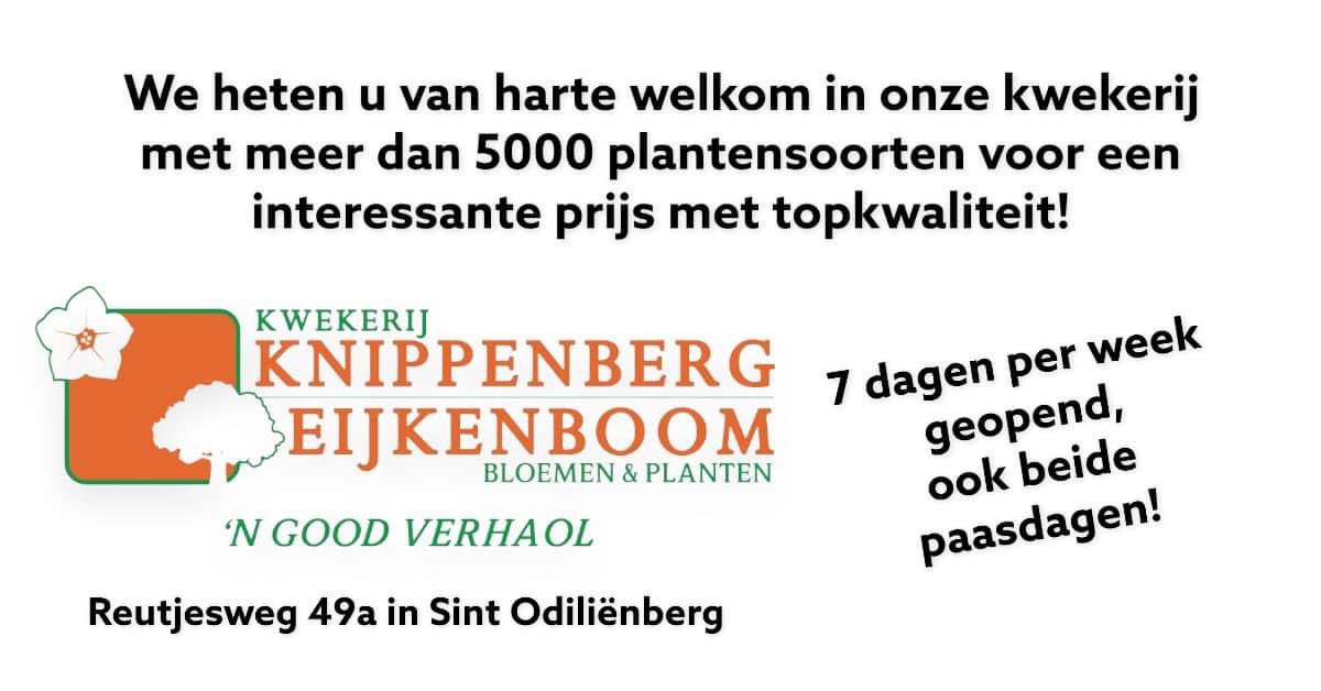 MFilter01's tweet image. Vandaag weer even wezen shoppen! 🌺🌸🪴🌹🤩#koopbijdekweker #kooplokaal #gunfactor Mijn planten staan weer te shinen!
