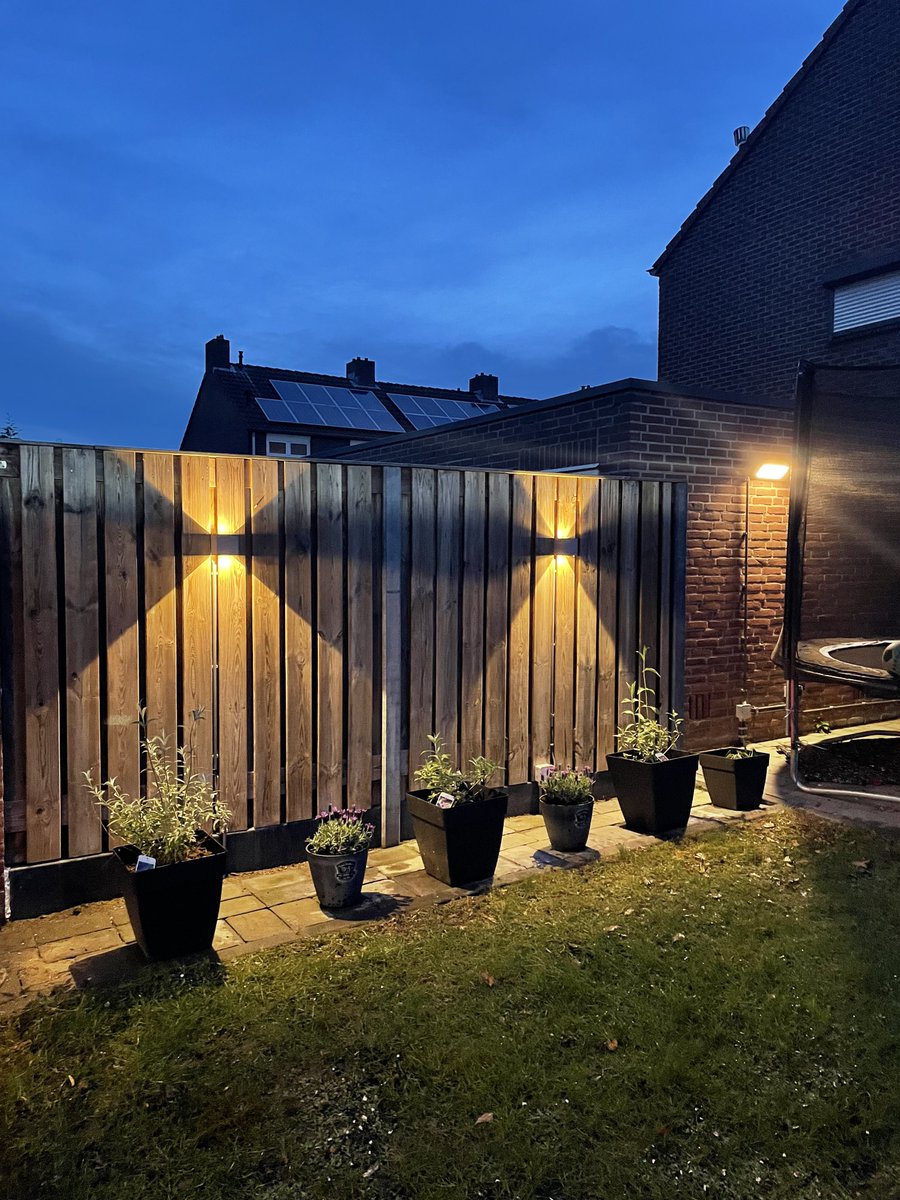 MFilter01's tweet image. Vandaag weer even wezen shoppen! 🌺🌸🪴🌹🤩#koopbijdekweker #kooplokaal #gunfactor Mijn planten staan weer te shinen!