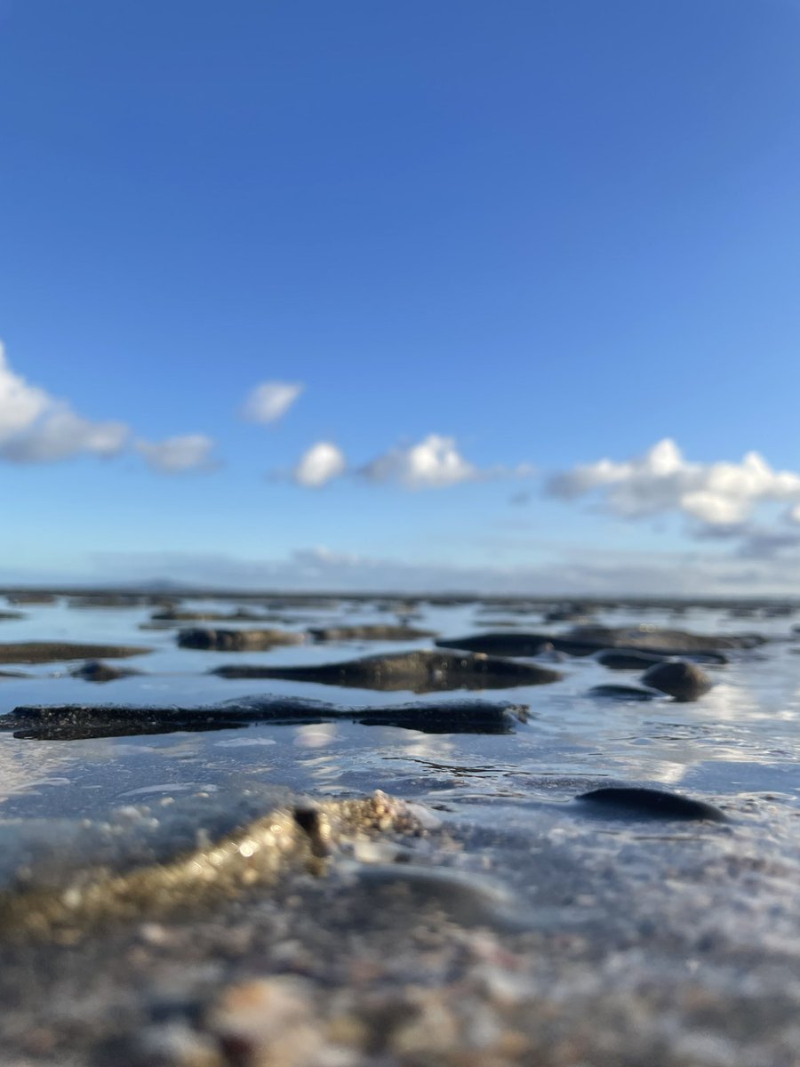 Ocean Bandits NFT 🔱 tweet media