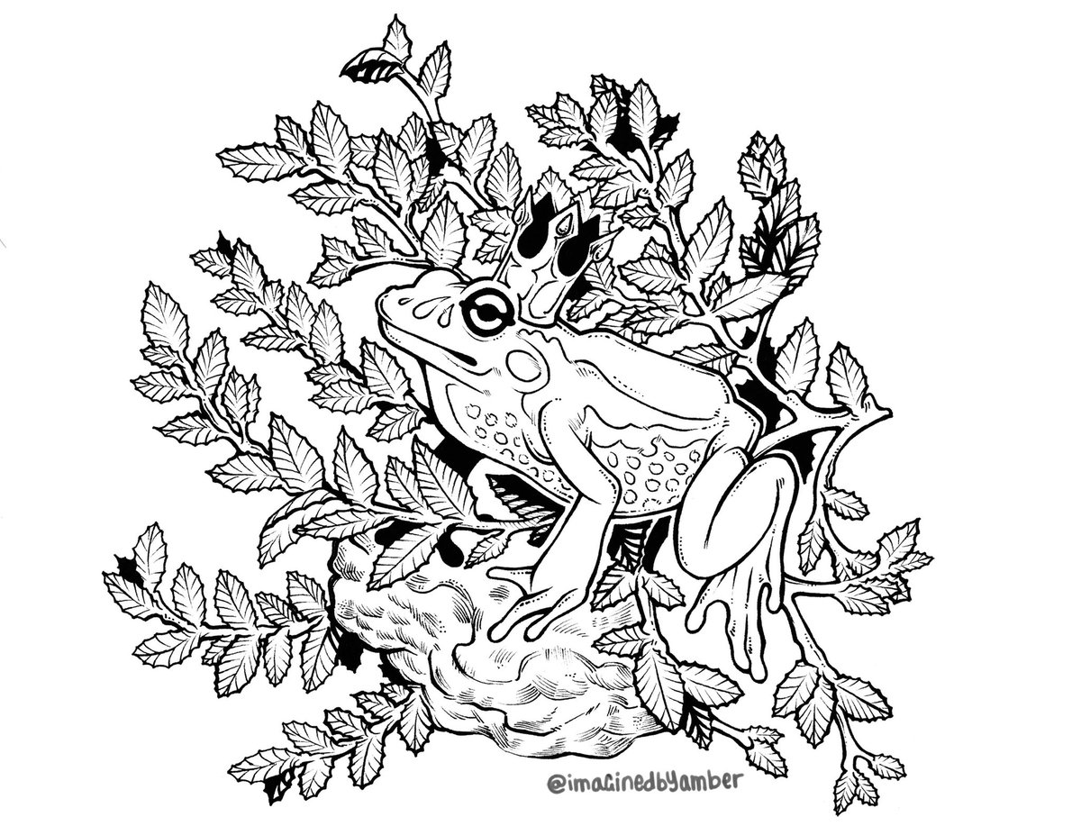 Aspendragon1's tweet photo. Happy #portfolioday I love working in pencils and ink traditionally and digitally!  Preferably animals and mythology. https://t.co/qXsnv1M81W