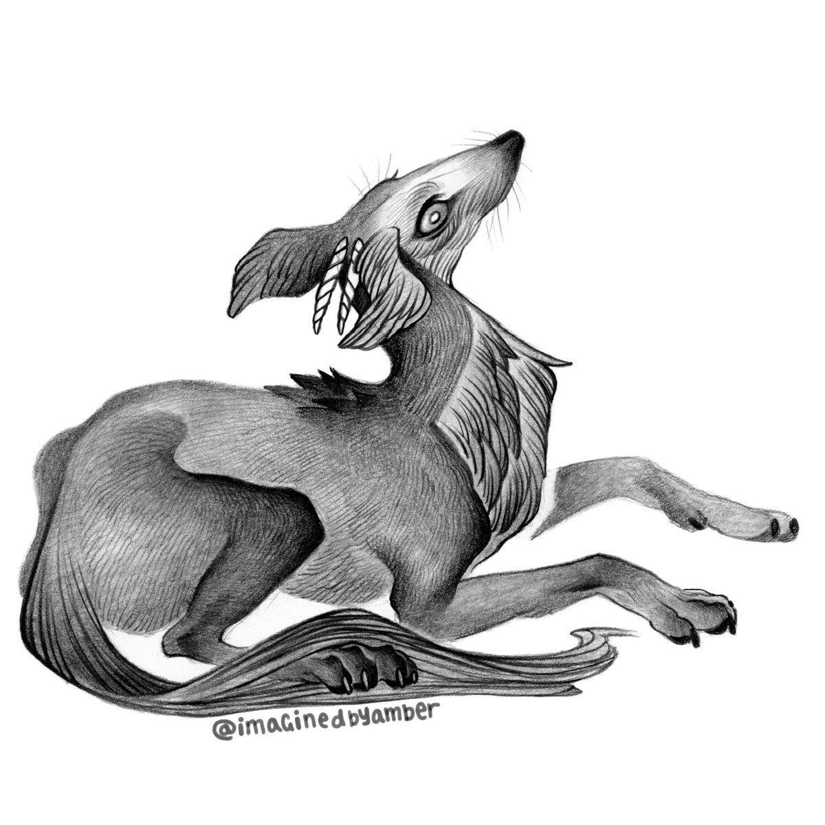 Aspendragon1's tweet photo. Happy #portfolioday I love working in pencils and ink traditionally and digitally!  Preferably animals and mythology. https://t.co/qXsnv1M81W