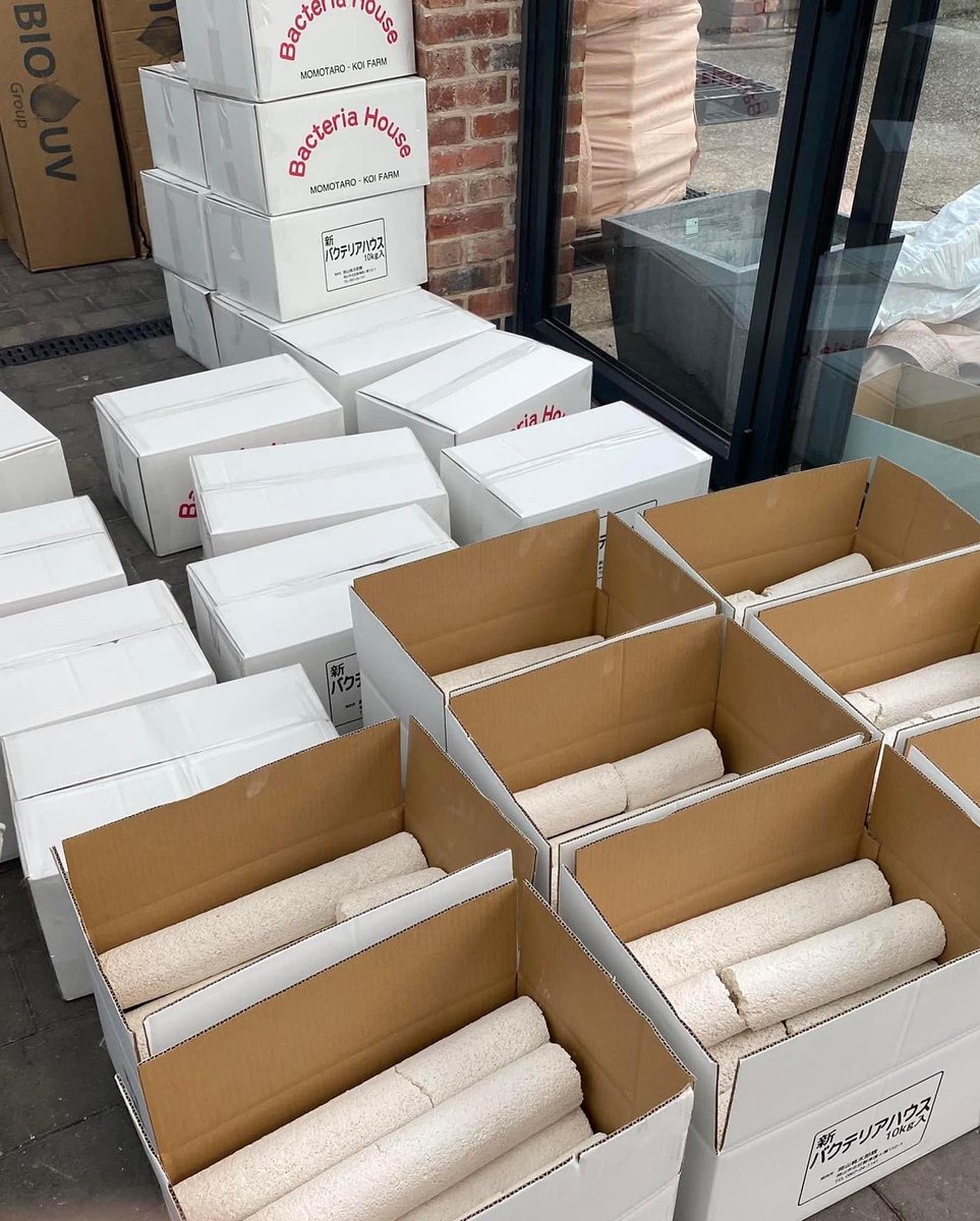 Absolutekoi's tweet photo. Momotaro Bacteria House Media, seems it’s as popular as ever, still the very best, nearly 100 boxes shipped out for next day delivery, thank you for your continued support 🙏 #momotaro #filtermedia #koi #koipond https://t.co/9I2vHNqqu1
