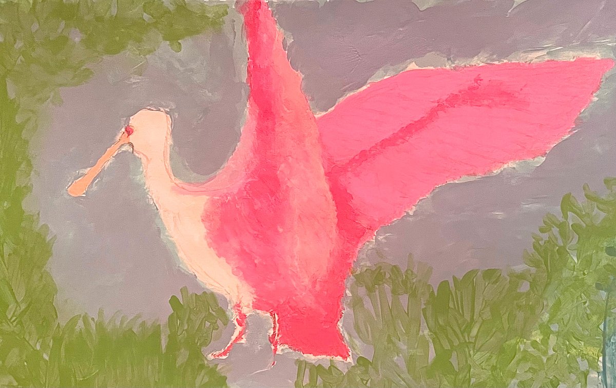 Congratulations to Jackson Gore, a kindergartener at St. Mary on the Hill Catholic School, for this winning entry in the Georgia Department of Natural Resources T-shirt art contest for the Youth Birding Competition!