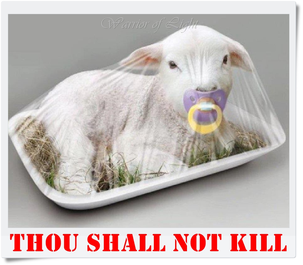 This Easter, and every day, choose a cruelty free meal, and leave all sentient beings off your plate 🙏😢💔

#GoVegan #Easter #Ostern #Jesus #quote #Bible #love #animals #easterlamb #HappyEaster #froheostern #god #sacrifice #religions  #AnimalRights #meat #food #BeTheDifference