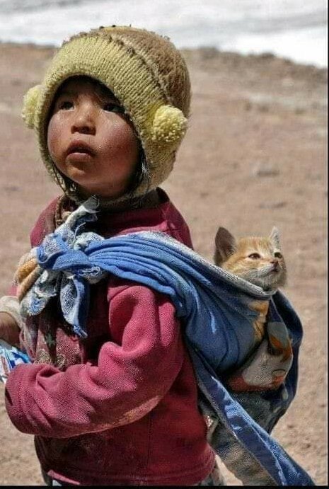🇹🇷Necmi 🇹🇷 tweet media
