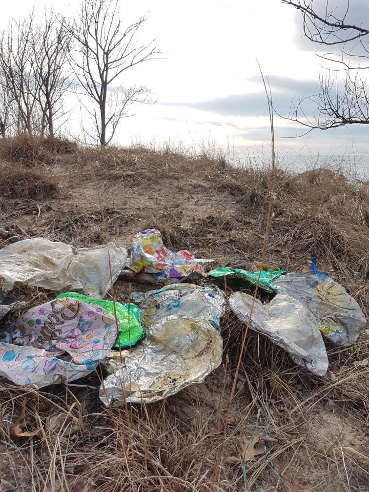 🇨🇦✍️Help us ban plastic🎈releases tweet media