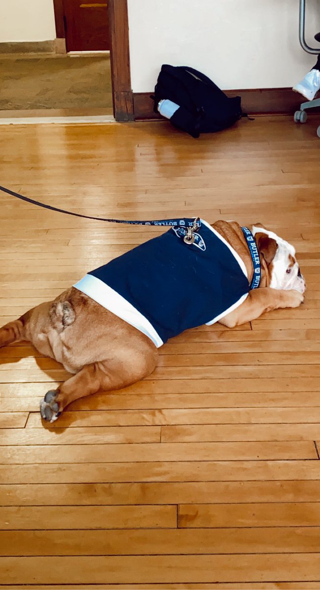 BEST DAY EVER <a href="/BUCMFK/">BU College Mentors </a>!  Huge thank you to <a href="/TheButlerBlue/">Butler Blue IV</a> for being our special guest and hanging out with us today 🐶💙 #collegementorsforkids