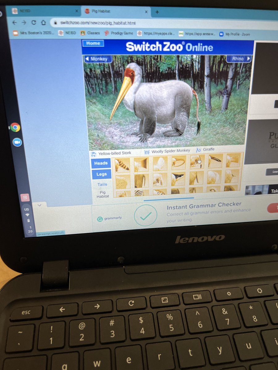 Erin Marshall tweet media