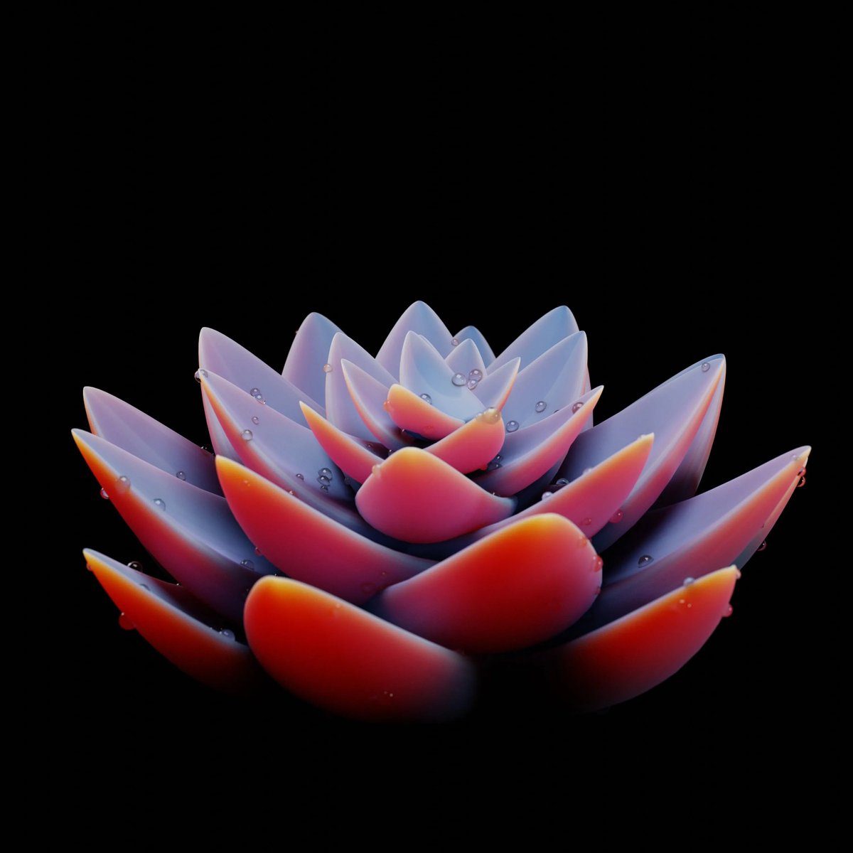 HenryRos6's tweet photo. Check out my item on @KephiGallery 
#NFT #NFTCommunity #nftcollector #NFTcollections #nftart #NFTartist #Kephi $KAI @opensea @rarible @LooksRareNFT 
"Suculenta #2"
https://t.co/Q6oBKuTsl9 https://t.co/Y4edPU00TO