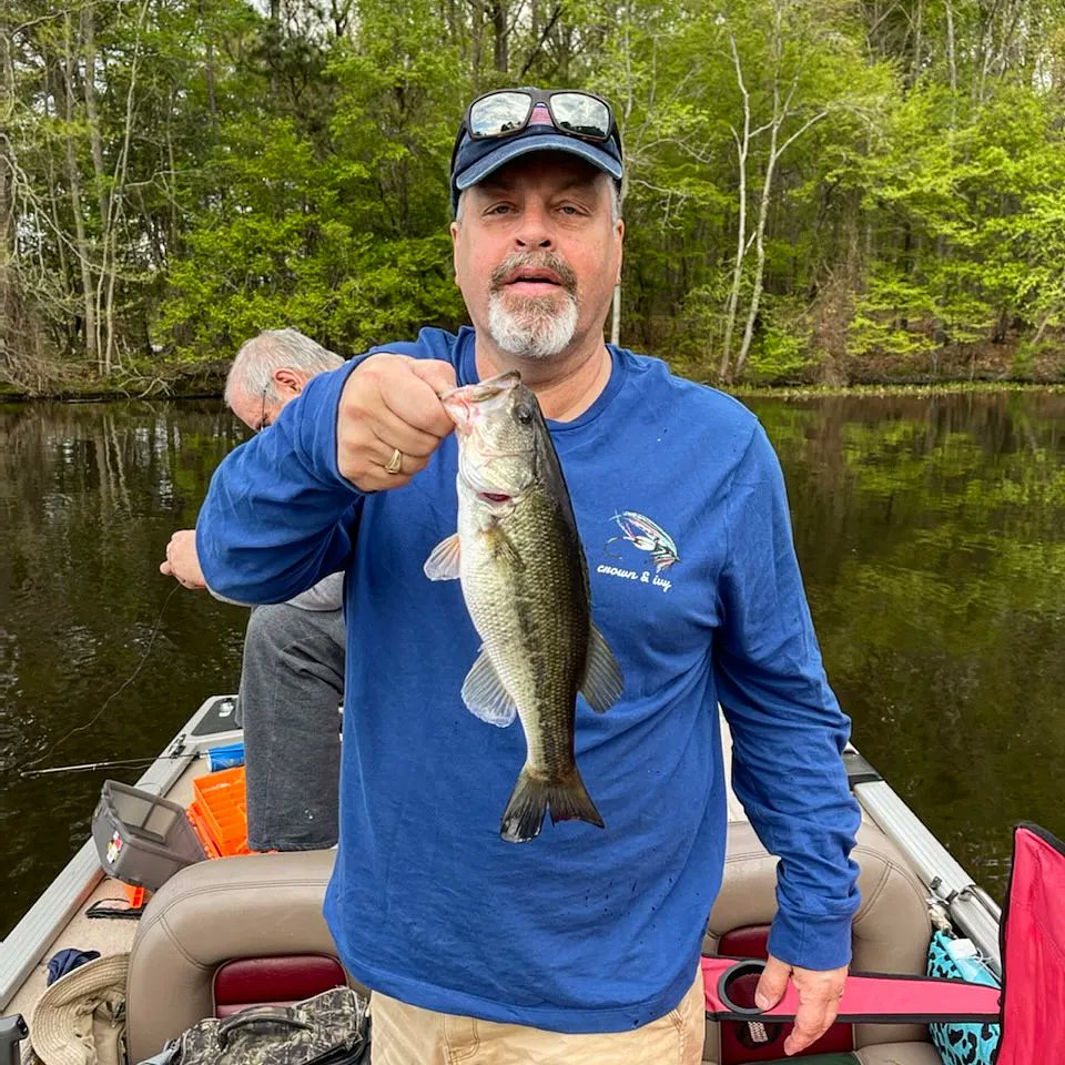 WVWhitetailCo's tweet photo. Slow first day on Tar River &amp; Buckhorn.
We're coming for Jordan lake in the a.m. 👊🎣 https://t.co/DBqpGlx8wi