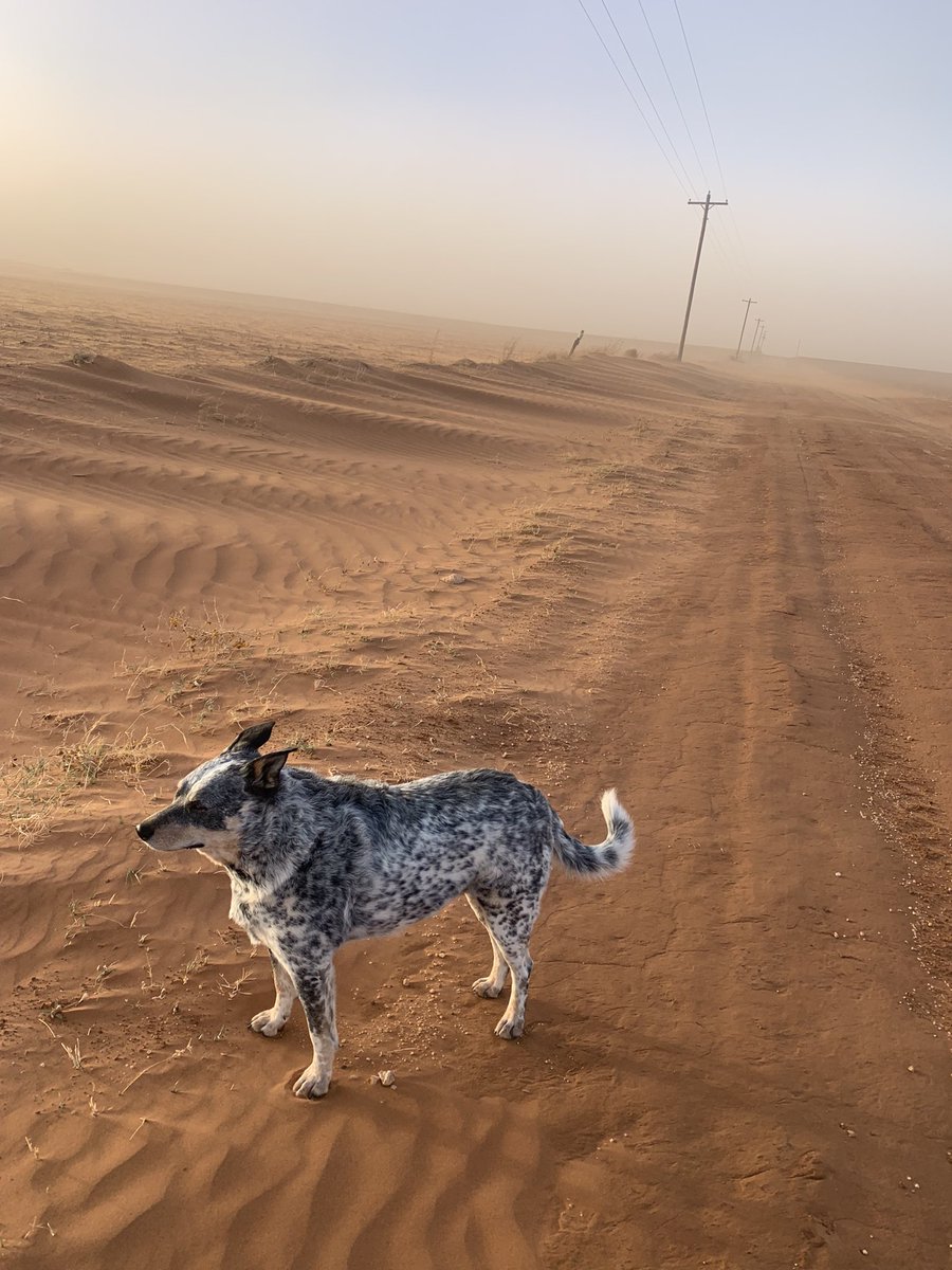 Joni Blount tweet media