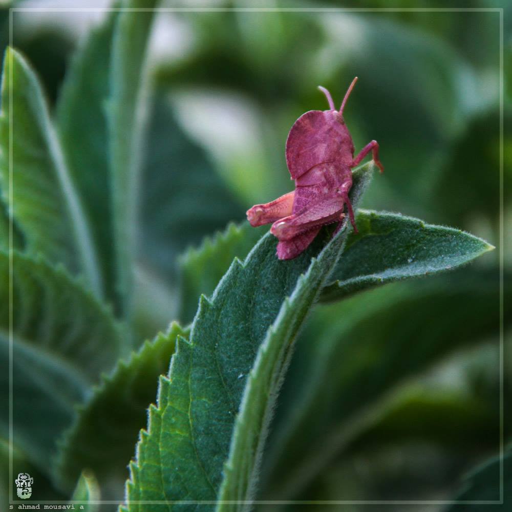 sqwqo's tweet image. The four spaces I experienced over the years.
#PortfolioDay 
🍀
linktr.ee/ahmadmousavia
🌳
#3dart #illustration #sculpture #photography #NFT 
tnx for Accompanying 👋🙏