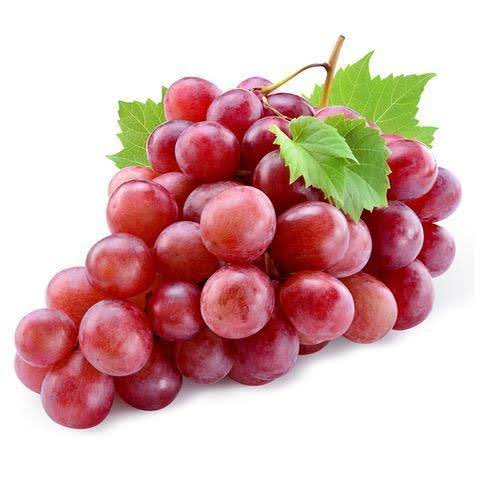AnkeetBahety's tweet photo. #GoodHealthTip 2 

Eat RED GRAPES in plenty. 

Red Grapes helps to cut bad cholesterol (LDL) levels, 
improves BLOOD VESSEL function, lowers the BLOOD PRESSURE and 
they EVEN PREVENT HEART MUSCLE Damage 

#health #HealthyLiving #healthylifestyle #ankeetbahety #HealthierTomorrow https://t.co/Pttuaq0kZt