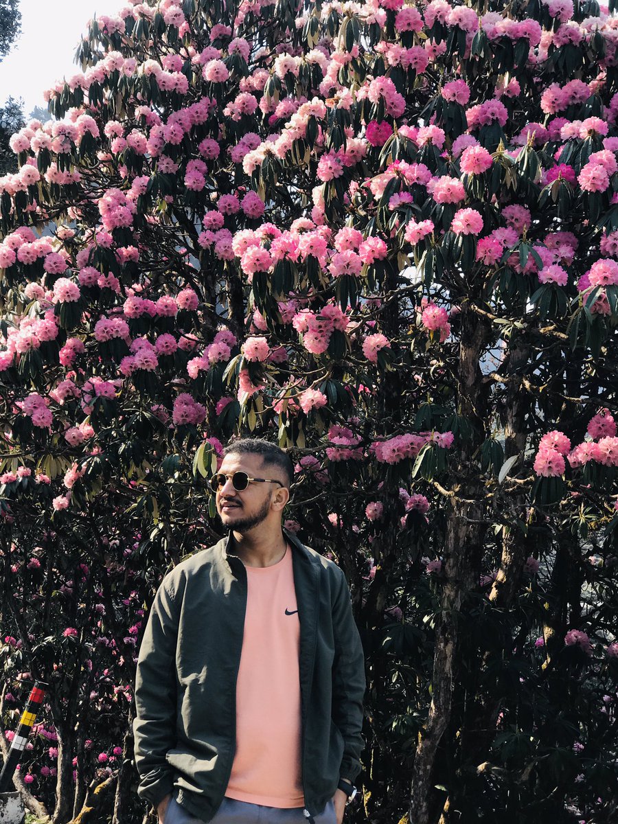 anildanu13's tweet photo. Burans or Rhododendron is an evergreen tree that grows up to the height of 20 m and has rough and pinkish-brown bark. The brightly colored flowers (deep red to pink) which bloom from late winter till early summer are the highlight of this 🌲 #burans #statetreeofutrrakhand https://t.co/BoQCTJIO91