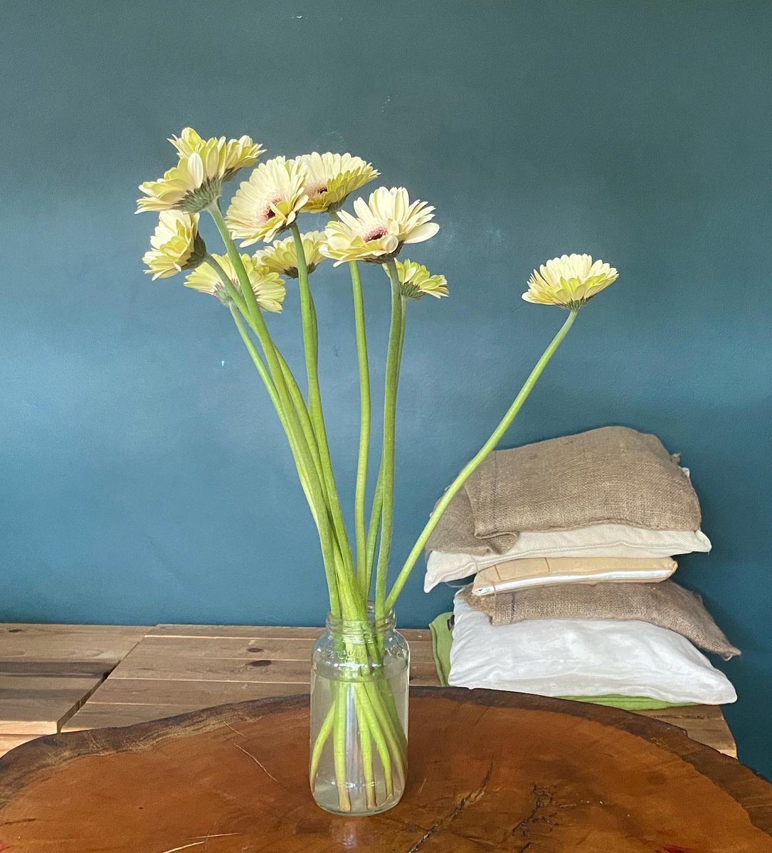 nowhereland4's tweet photo. Good morningโ๏ธ โif we could see the miracle of a single flower clearly, our whole life would changeโ - Buddha
Thatโs profound!
#creamcolor #daisy #cameronhighlands #nowhereland https://t.co/Bjihhi04vJ