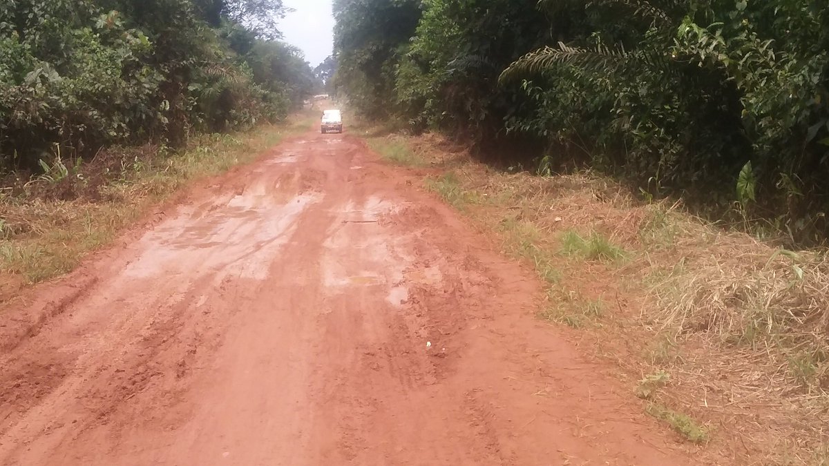 alntal's tweet photo. .🇨🇩 #Equateur Rte Mbandaka-Bikoro 08/08/17. Il avait plu la veille. Nous avions pu passer après un bout de temps. Le temps de comprendre que les gens emmenaient avec eux (et enlevaient?) ces troncs d'arbres moyennant une motivation pour leur dépannage. https://t.co/0n7QcoRRmw