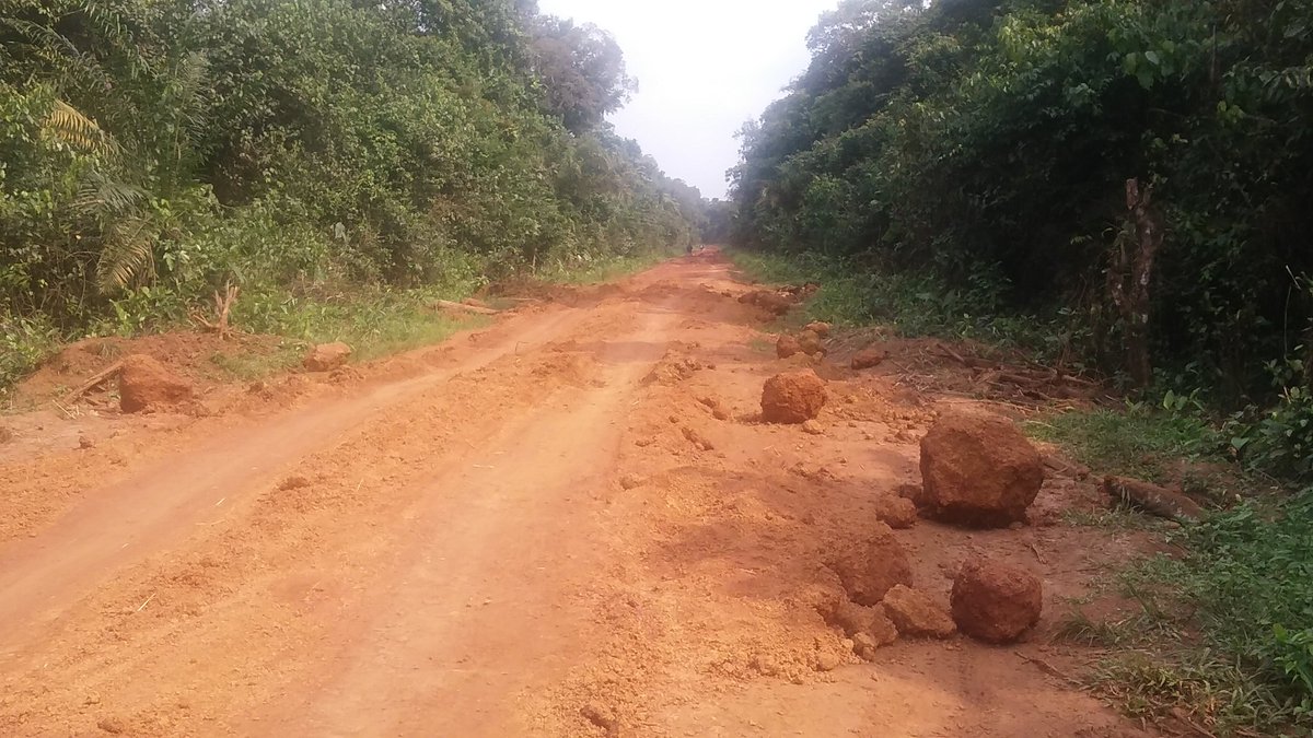 alntal's tweet photo. .🇨🇩 #Equateur Rte Mbandaka-Bikoro 08/08/17. Il avait plu la veille. Nous avions pu passer après un bout de temps. Le temps de comprendre que les gens emmenaient avec eux (et enlevaient?) ces troncs d'arbres moyennant une motivation pour leur dépannage. https://t.co/0n7QcoRRmw