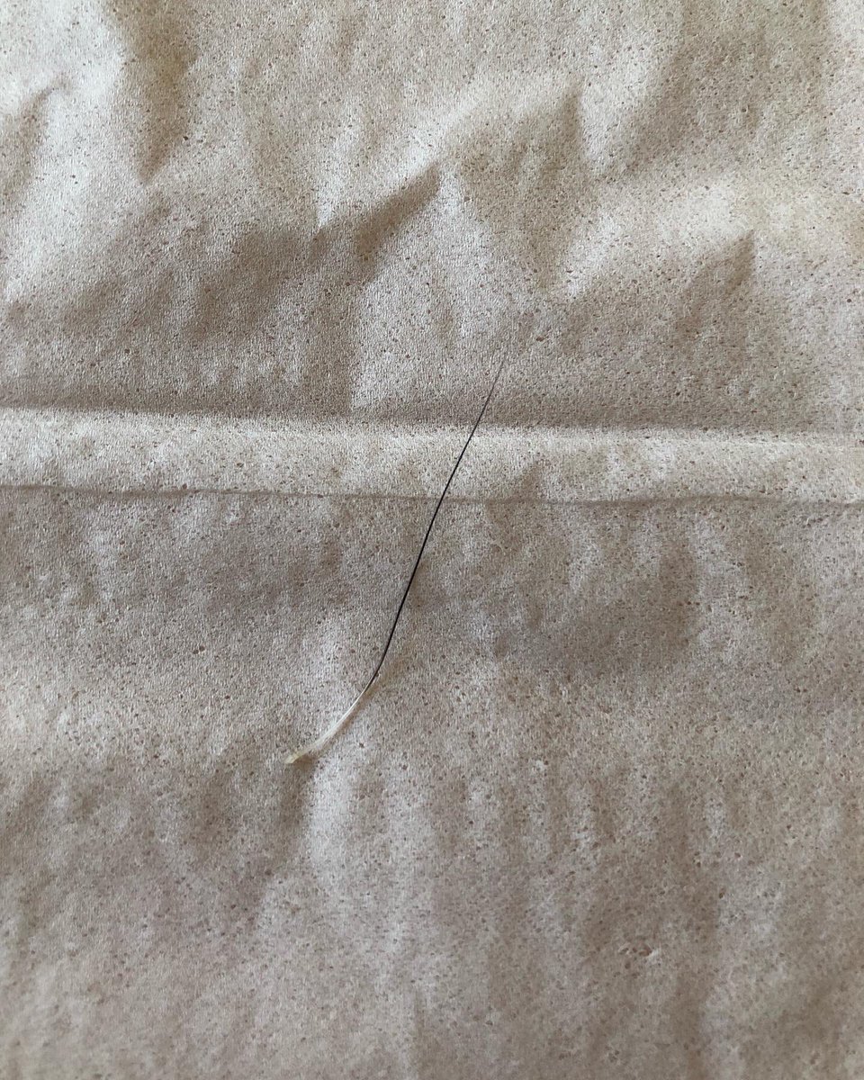 AIroto's tweet photo. 我が家の愛犬こさく　虹の橋を渡って49日が過ぎました　とても穏やかな犬生でした　亡くなる何日か前にたくさん寝て　お目目ぱっちりなこさく❤️ お片付けしてたら見つけたヒゲ❤️ さくらの子供だからこさく　って名付けて　15歳3ヶ月11日　たくさんの楽しい思い出ありがとう🌈
#虹の橋  #柴犬 https://t.co/x52JPNso9j