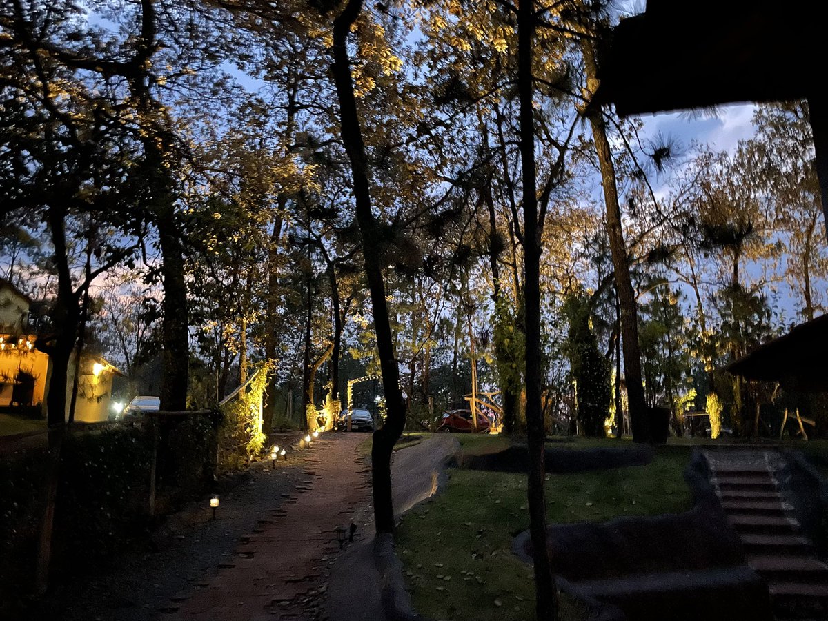 El amigo <a href="/Elgusrodriguez/">Gus Яodríguez</a> que hace un par de años nos dejaste y hoy aquí, en medio del bosque, en <a href="/huascadeocampo/">Huasca de Ocampo</a> te manifestaste en forma de luciérnaga, te mando un abrazo fuerte donde quiera que estés.