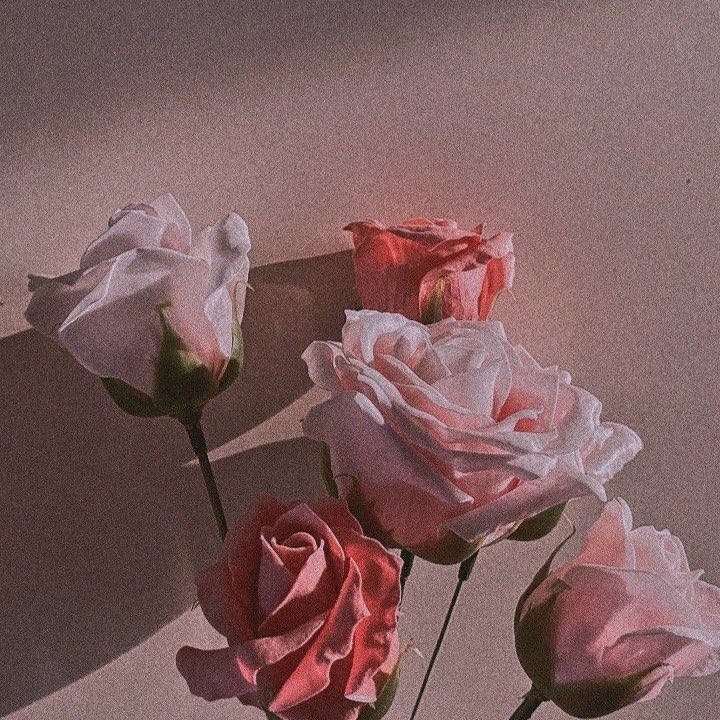 “Kalbin temizse, hikayen mutlu biter.” 

Cahit Zarifoğlu