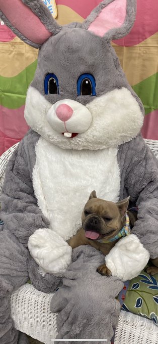 she&rsquo;s the cutest https://t.co/Nx8IjHRzDp<a href="/tag/mvsales"class="tags"><span>#mvsales</span></a><a href="/tag/mvcrush"class="tags"><span>#mvcrush</span></a>