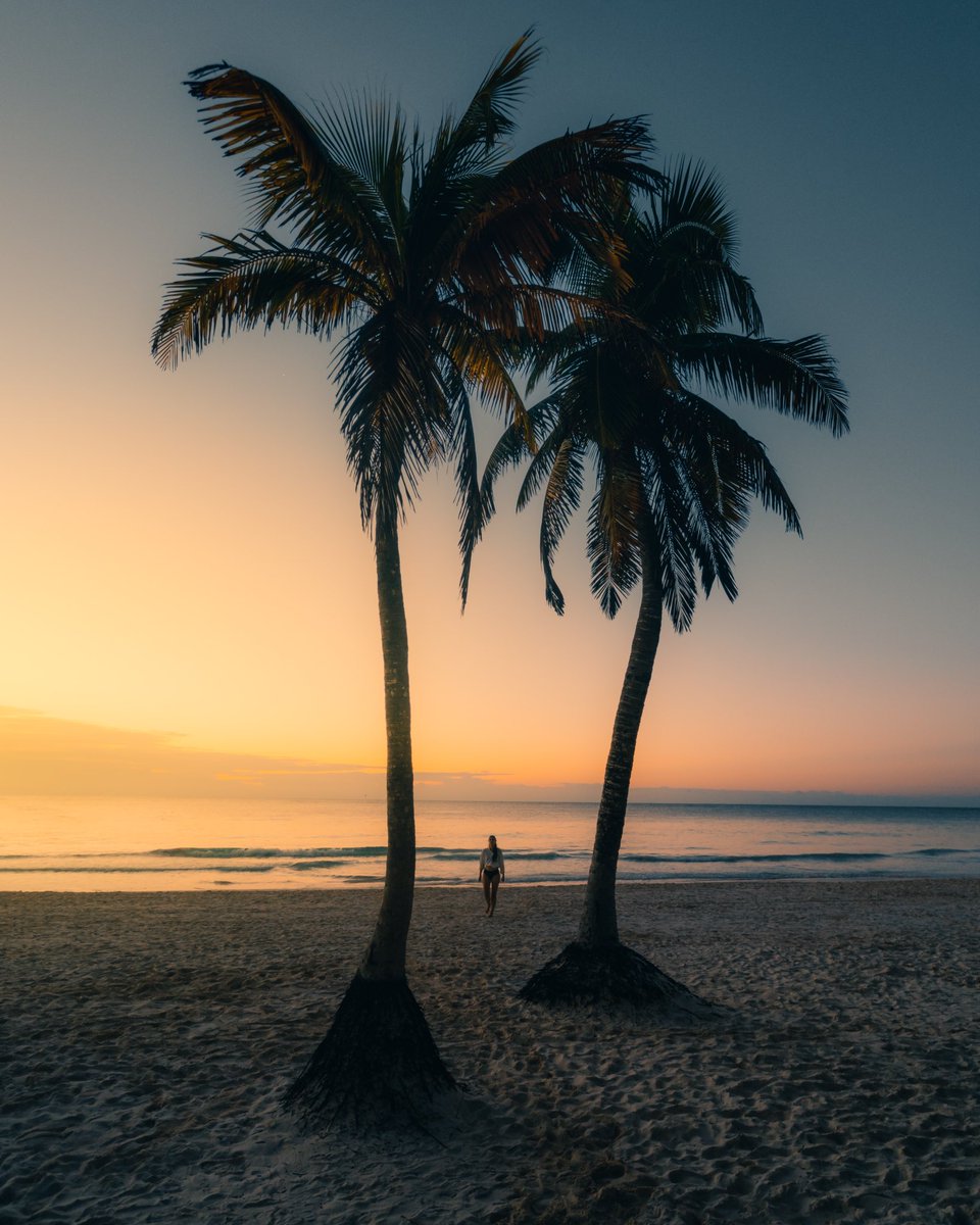 lostventurer_'s tweet photo. Another day in paradise. 🌴

Tulúm, March 2022. 🇲🇽

#tulum #mexico https://t.co/epfEGuc7SA