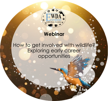 Please come and join us in this Free Webinar on "How to get involved with wildlife?" that will start tomorrow 13th April at 8:45 am GMT +1: 
us02web.zoom.us/j/84723290869?…
Passcode: EWDA2022
More info at: ewdastudents.weebly.com/webinar-2022.h…