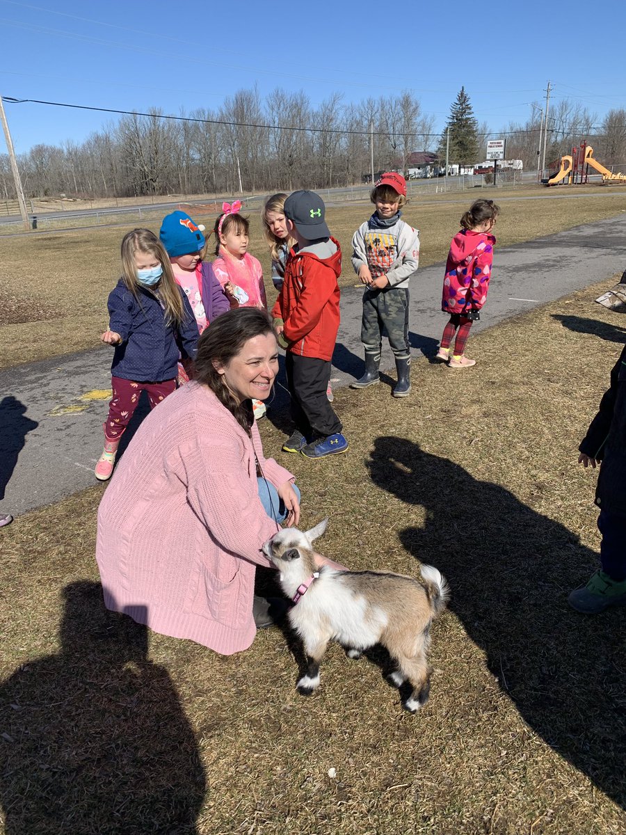 WithMrsBurns's tweet photo. Today Winnie the goat was finally able to come to school! We are learning lots about caring for living creatures, goats and empathy. #kindergartengoat #goats #handsonlearning @prps_ldsb #farmclass #empathy #outdoorlearning https://t.co/gtxg3D4Kwx