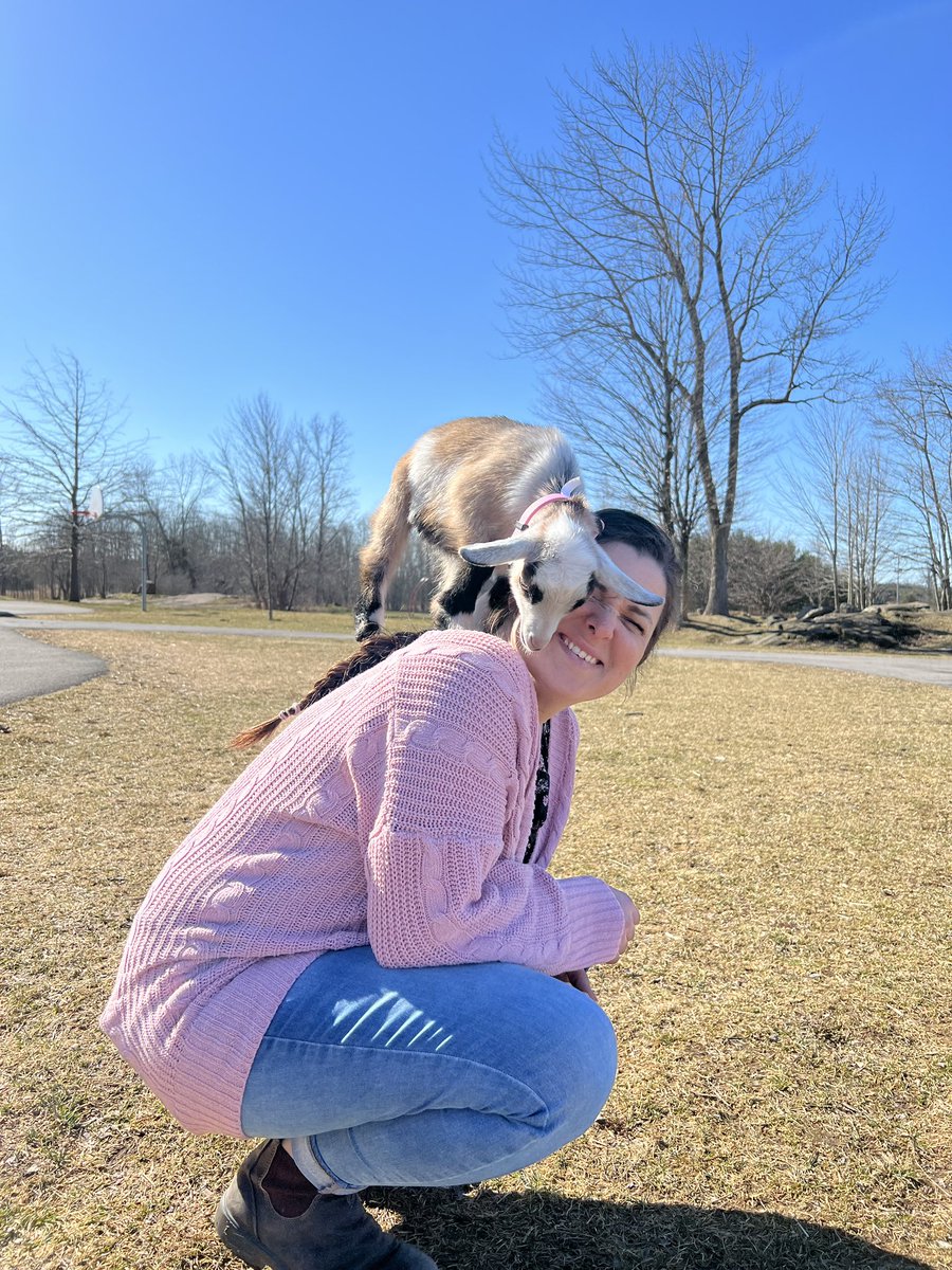 WithMrsBurns's tweet photo. Today Winnie the goat was finally able to come to school! We are learning lots about caring for living creatures, goats and empathy. #kindergartengoat #goats #handsonlearning @prps_ldsb #farmclass #empathy #outdoorlearning https://t.co/gtxg3D4Kwx
